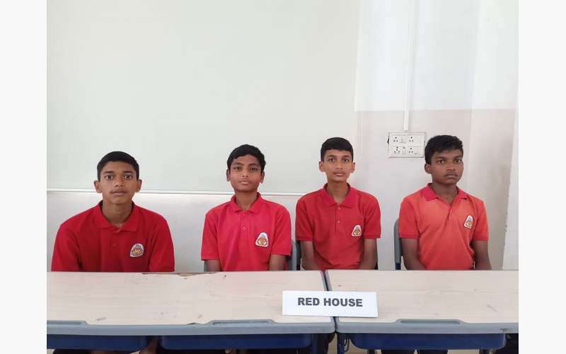 Activities of Kindergarten