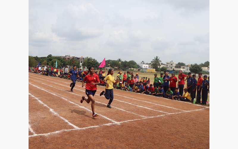 Sports Is Like Life The More You Practice, The Better You Get